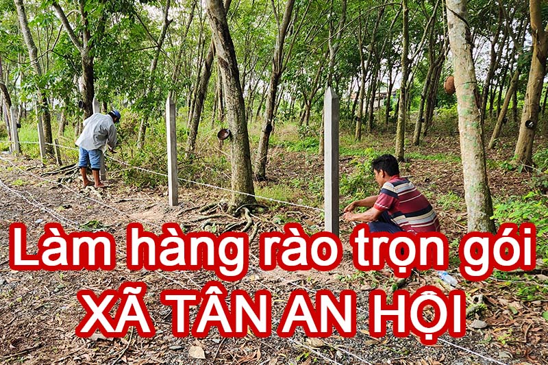 Chuyên làm hàng rào xã Tân An Hội thi công trọn gói